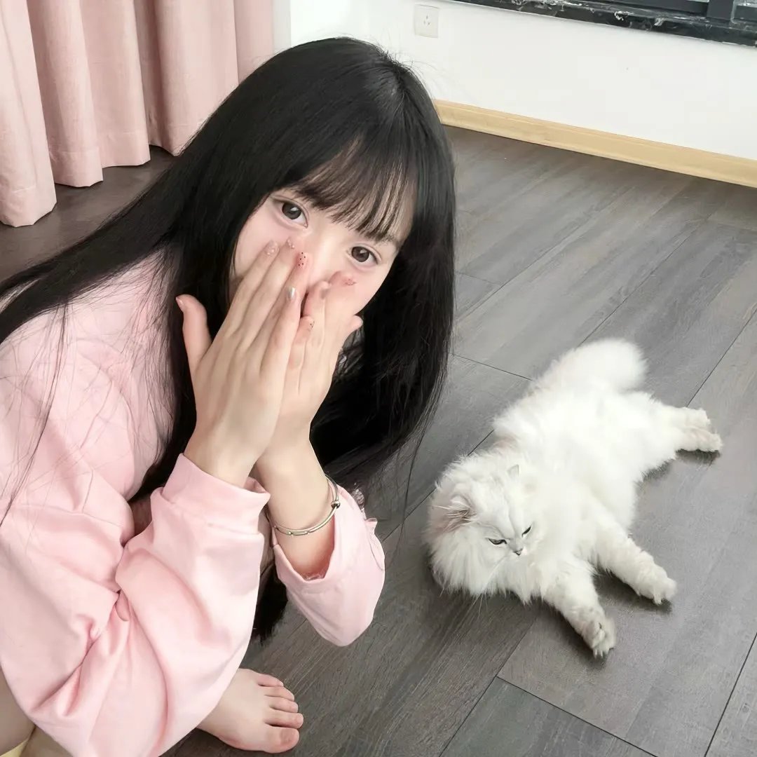 妻子们3